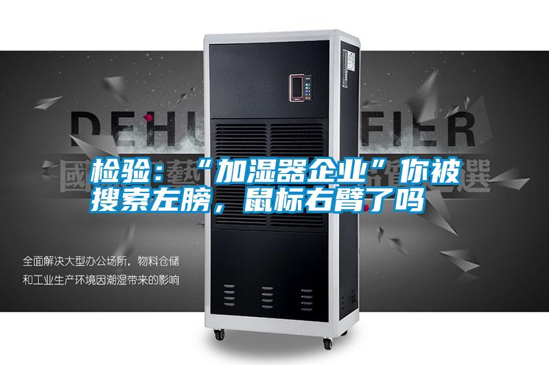 檢驗：“加濕器企業(yè)”你被搜索左膀，鼠標(biāo)右臂了嗎