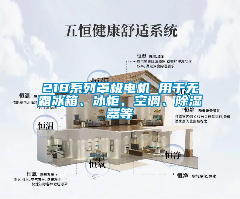 218系列罩極電機(jī) 用于無霜冰箱、冰柜、空調(diào)、除濕器等