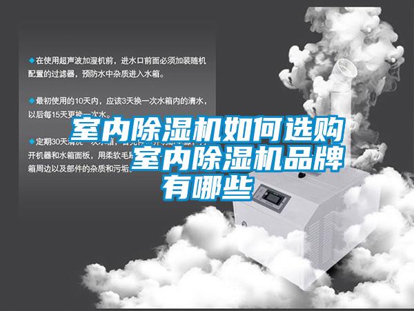 室內(nèi)除濕機(jī)如何選購   室內(nèi)除濕機(jī)品牌有哪些