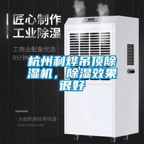 杭州利燁吊頂除濕機(jī)，除濕效果很好