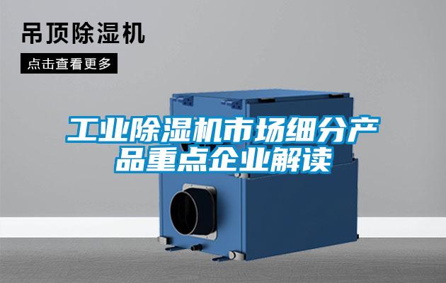 工業(yè)除濕機市場細分產品重點企業(yè)解讀