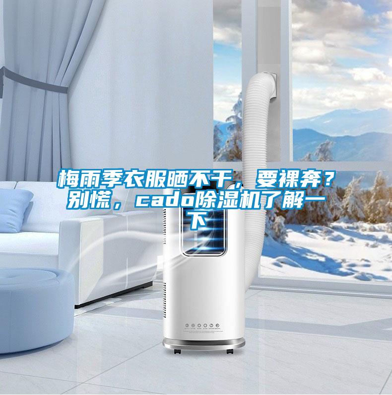 梅雨季衣服曬不干，要裸奔？別慌，cado除濕機(jī)了解一下