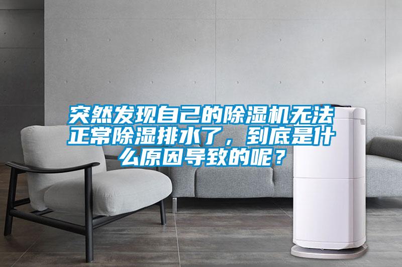 突然發(fā)現(xiàn)自己的除濕機(jī)無法正常除濕排水了，到底是什么原因?qū)е碌哪兀?/></p>
<p style=