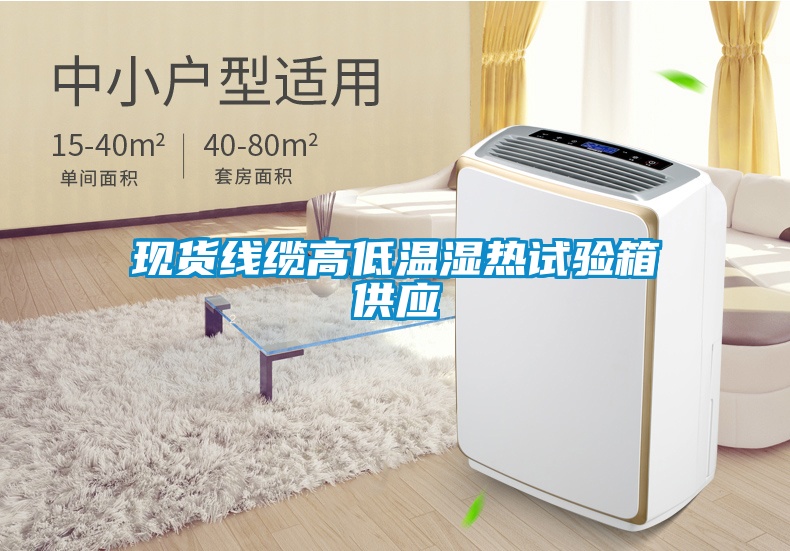 現(xiàn)貨線(xiàn)纜高低溫濕熱試驗(yàn)箱供應(yīng)