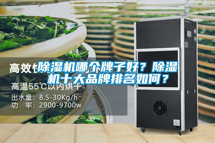 除濕機哪個牌子好？除濕機十大品牌排名如何？