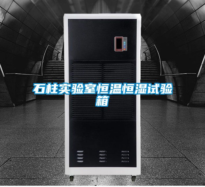 石柱實驗室恒溫恒濕試驗箱