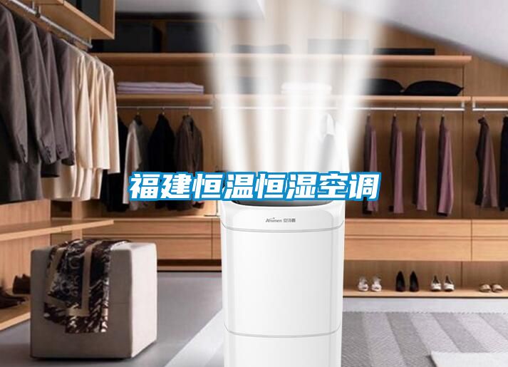 福建恒溫恒濕空調(diào)