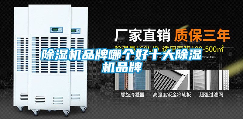 除濕機品牌哪個好十大除濕機品牌