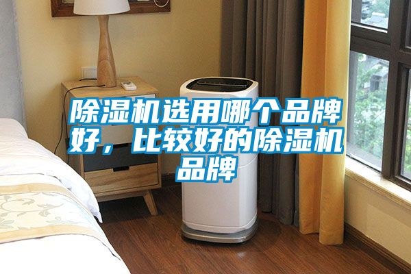 除濕機選用哪個品牌好，比較好的除濕機品牌