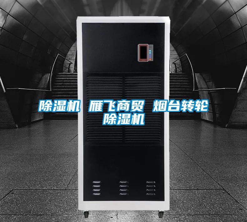 除濕機(jī) 雁飛商貿(mào) 煙臺(tái)轉(zhuǎn)輪除濕機(jī)