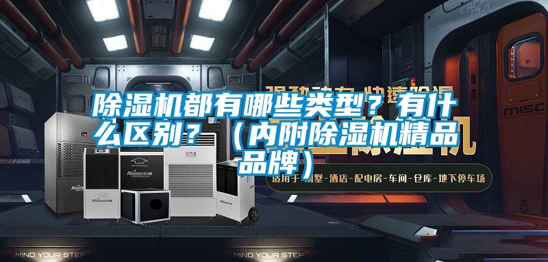 除濕機都有哪些類型？有什么區(qū)別？（內(nèi)附除濕機精品品牌）