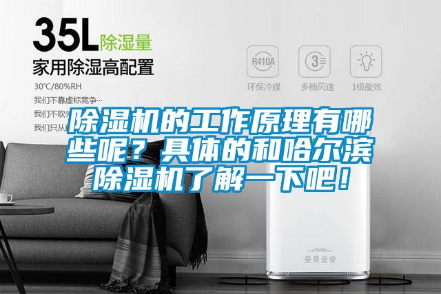 除濕機(jī)的工作原理有哪些呢？具體的和哈爾濱除濕機(jī)了解一下吧！