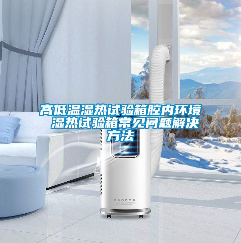 高低溫濕熱試驗箱腔內環(huán)境 濕熱試驗箱常見問題解決方法