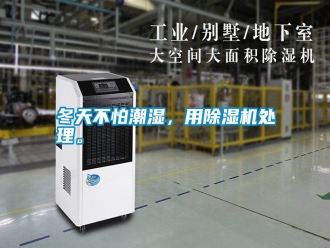 行業(yè)新聞冬天不怕潮濕，用除濕機處理。