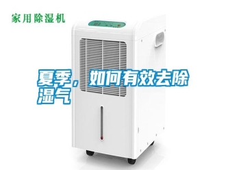 常見問題夏季，如何有效去除濕氣