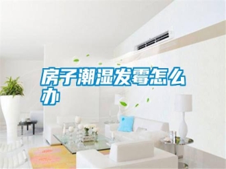 常見問題房子潮濕發(fā)霉怎么辦