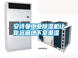 常見問題安詩曼工業(yè)除濕機(jī)讓你遠(yuǎn)離地下室潮濕