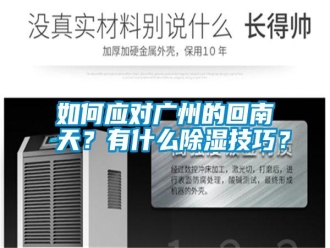常見問題如何應(yīng)對廣州的回南天？有什么除濕技巧？