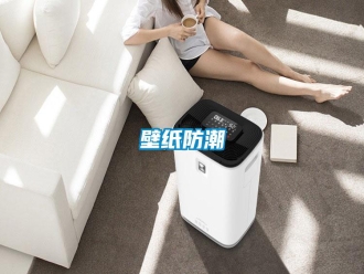 知識(shí)百科壁紙防潮