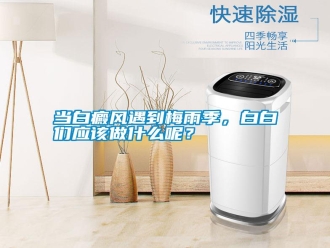 常見問題當白癜風遇到梅雨季，白白們應該做什么呢？