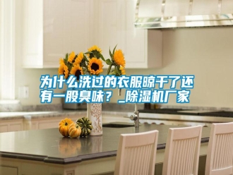 常見問題為什么洗過的衣服晾干了還有一股臭味？_除濕機(jī)廠家