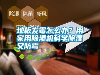 常見問題地板發(fā)霉怎么辦？用家用除濕機(jī)科學(xué)除濕又防霉