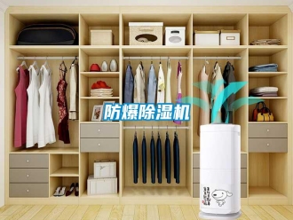 常見問題防爆除濕機(jī)