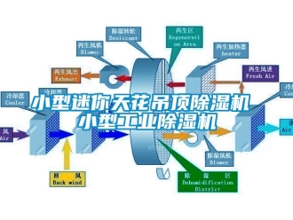 常見問(wèn)題小型迷你天花吊頂除濕機(jī) 小型工業(yè)除濕機(jī)