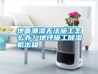 常見問題地面潮濕無法施工怎么辦？地坪施工除濕機出租