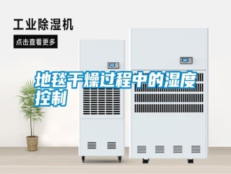 常見問題地毯干燥過程中的濕度控制
