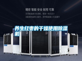 常見問題養(yǎng)生紅棗的干燥使用除濕機(jī)