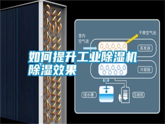 常見問題如何提升工業(yè)除濕機(jī)除濕效果