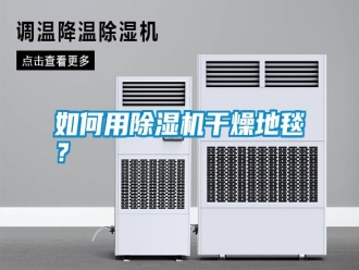常見問題如何用除濕機干燥地毯？