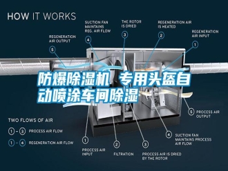 常見問題防爆除濕機(jī) 專用頭盔自動(dòng)噴涂車間除濕