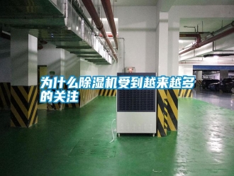 常見問題為什么除濕機受到越來越多的關(guān)注