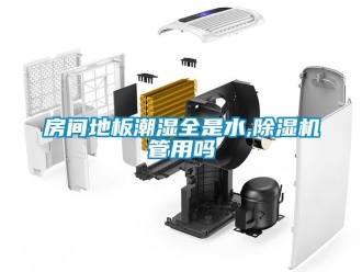 行業(yè)新聞房間地板潮濕全是水,除濕機(jī)管用嗎