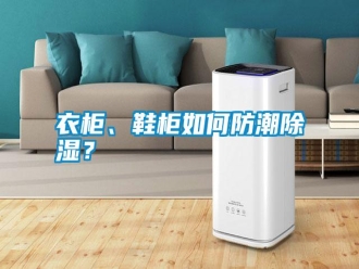 常見問題衣柜、鞋柜如何防潮除濕？