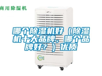 企業(yè)新聞哪個除濕機好（除濕機十大品牌，哪個品牌好？）優(yōu)質(zhì)