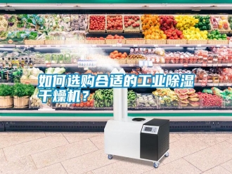 常見問題如何選購(gòu)合適的工業(yè)除濕干燥機(jī)？