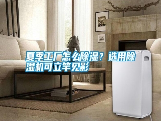 常見問題夏季工廠怎么除濕？選用除濕機(jī)可立竿見影