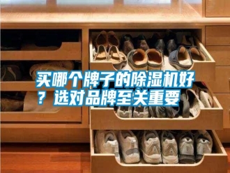 常見問題買哪個牌子的除濕機好？選對品牌至關(guān)重要