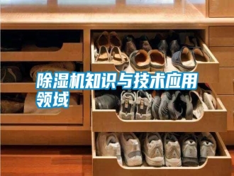 常見問題除濕機知識與技術應用領域