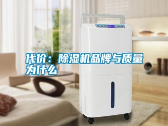 常見問題代價(jià)：除濕機(jī)品牌與質(zhì)量為什么