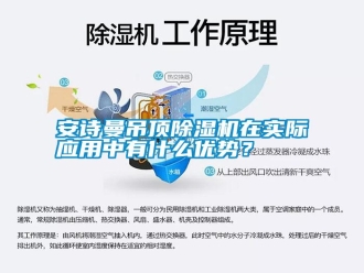 常見問題安詩曼吊頂除濕機(jī)在實際應(yīng)用中有什么優(yōu)勢？