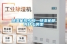 除濕機(jī)多少錢(qián)—除濕機(jī)都有什么類型