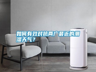 常見問題如何有效對抗兩廣最近的潮濕天氣？
