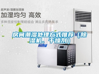 行業(yè)新聞房間潮濕處理方式推薦（除濕機(jī)、干燥劑）