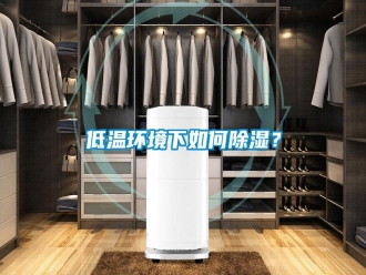 行業(yè)新聞低溫環(huán)境下如何除濕？