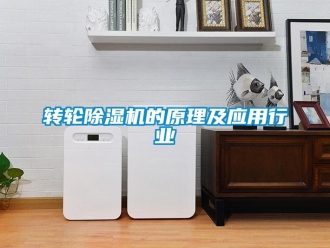 常見問(wèn)題轉(zhuǎn)輪除濕機(jī)的原理及應(yīng)用行業(yè)