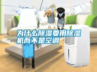 常見問題為什么除濕要用除濕機而不是空調(diào)